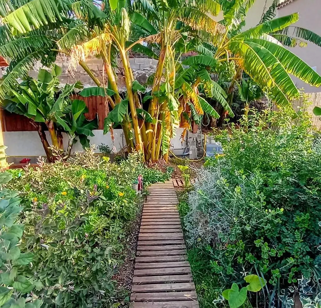 Finca Don Pedro Santa Cruz de Tenerife Daire